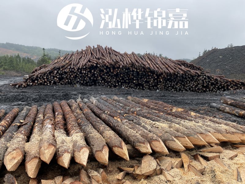 6米長松木樁有哪些作用，多少錢一根？