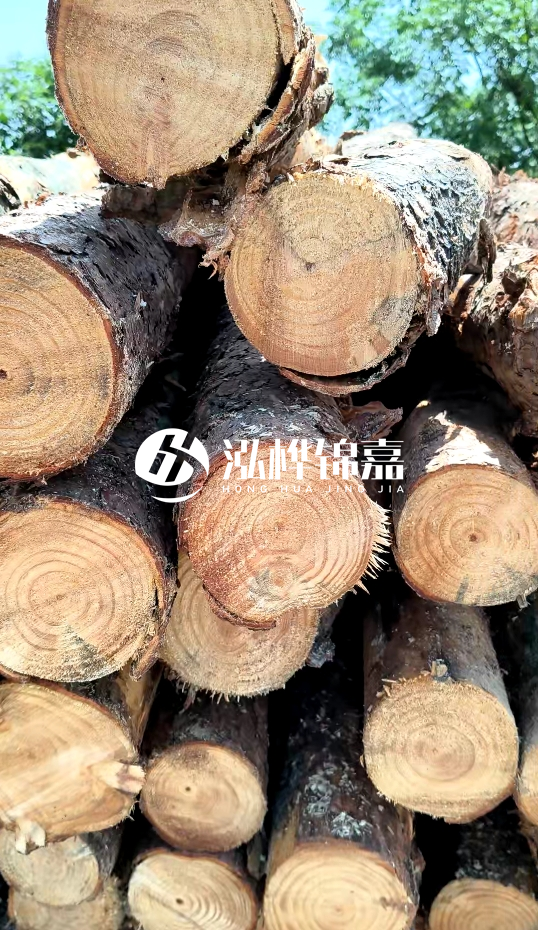 周口挖機打木樁專業(yè)施工-杉木樁施工打樁怎么打？