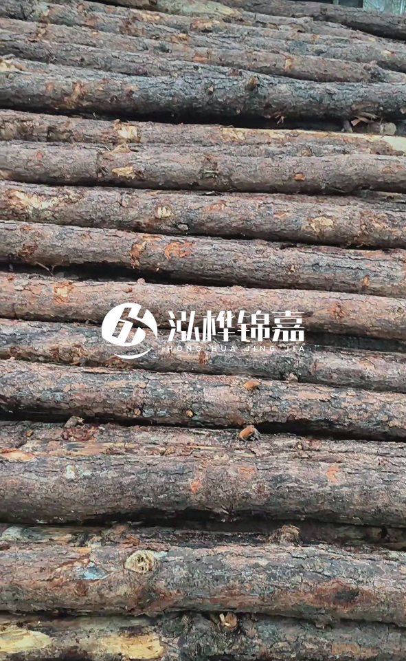 陽(yáng)江松木樁源頭廠家-哪一種打樁木最便宜？