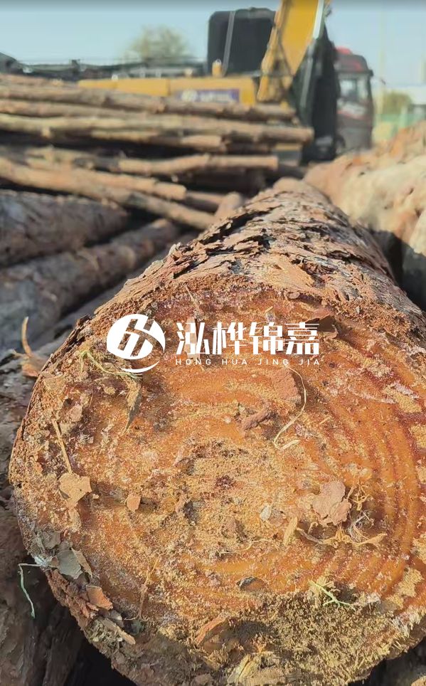 杉木樁價(jià)格多少錢一方-3米直徑14公分杉木樁價(jià)格？