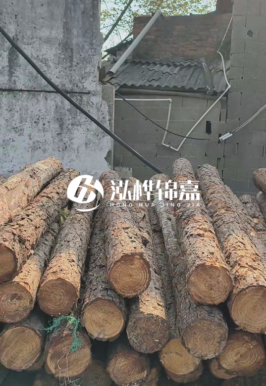 1.5米至2米長(zhǎng)松木樁價(jià)格表-10-12公分大概多少錢(qián)一根？