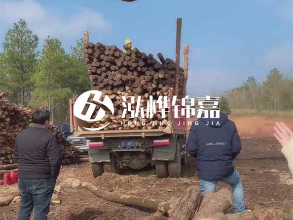 防腐木樁價格比普通木樁貴多少？防腐木樁有哪些處理方式？