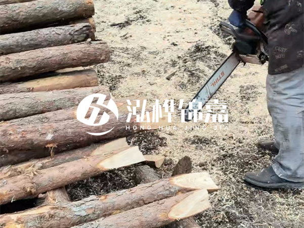 杉木樁批發(fā)廠家哪家好？產地直供渠道推薦！