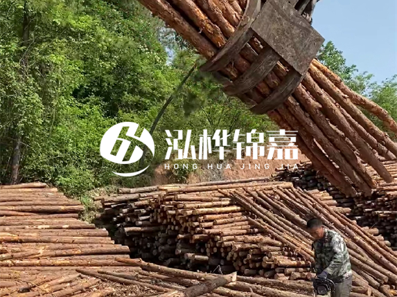 哪里能買到優(yōu)質(zhì) 3 米松木樁？長沙有松木樁批發(fā)工廠嗎？