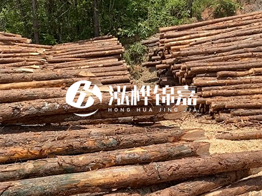 松木樁的運(yùn)輸費(fèi)用是否包含卸車費(fèi)？卸貨時(shí)需要注意哪些安全問(wèn)題？