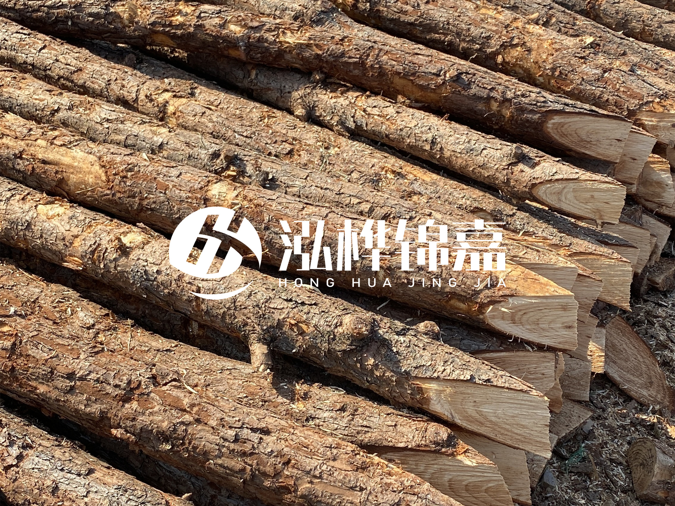 8 米超大直徑松木樁的價格是多少？帶皮和去皮松木樁價格差多少？