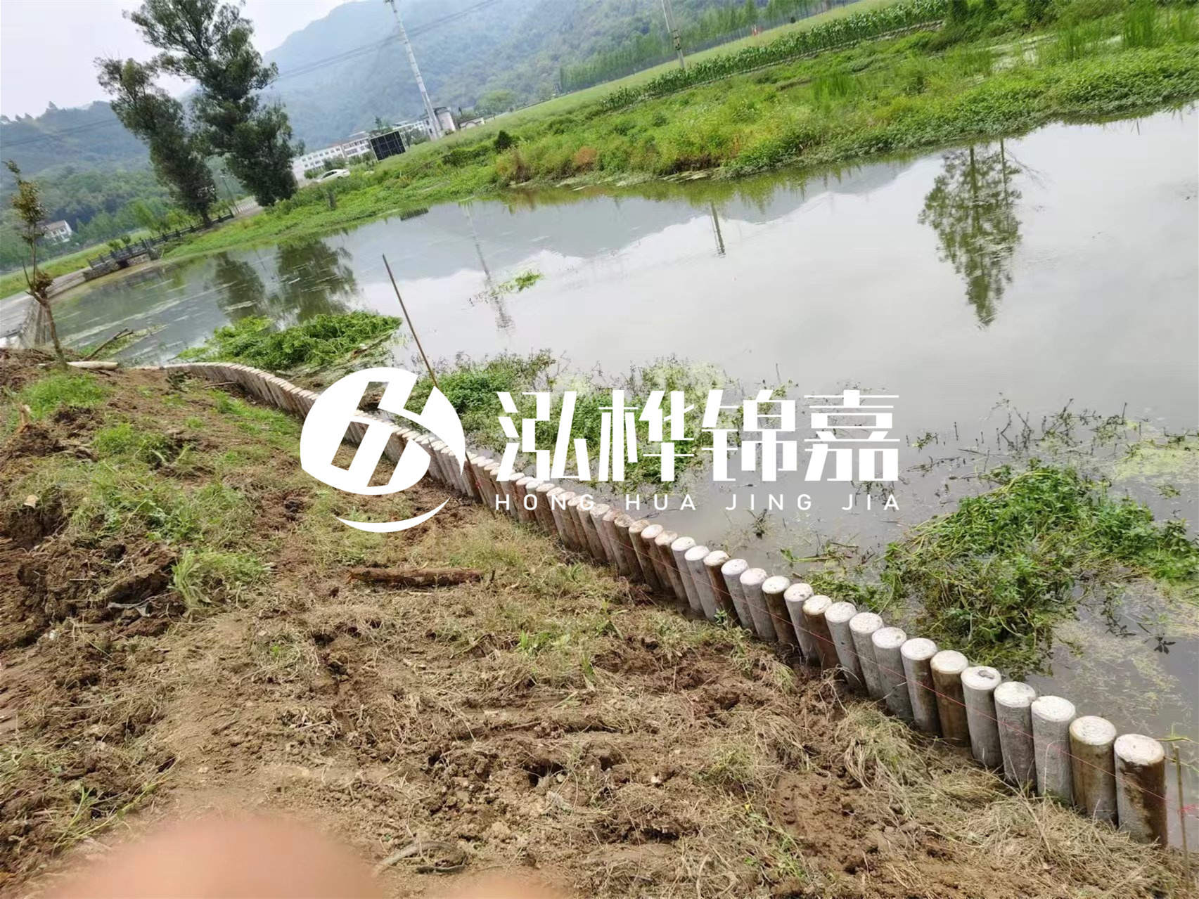 松木樁加固河道與水泥樁對比如何？哪一種更加適合您？
