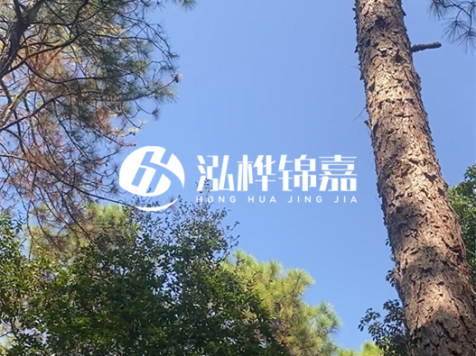 松木樁廠家泓樺錦嘉可以實地考察嗎？需要提前預(yù)約嗎？