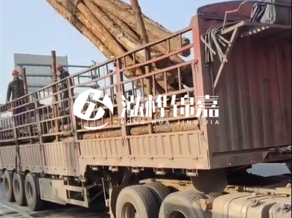 4米長(zhǎng)杉木10公分價(jià)格-4.5米直徑15cm 杉木多少錢？