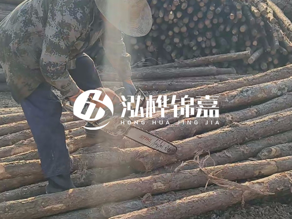 廣東打樁木源頭廠家泓樺錦嘉 - 如何選擇適合特定邊坡的松木樁？