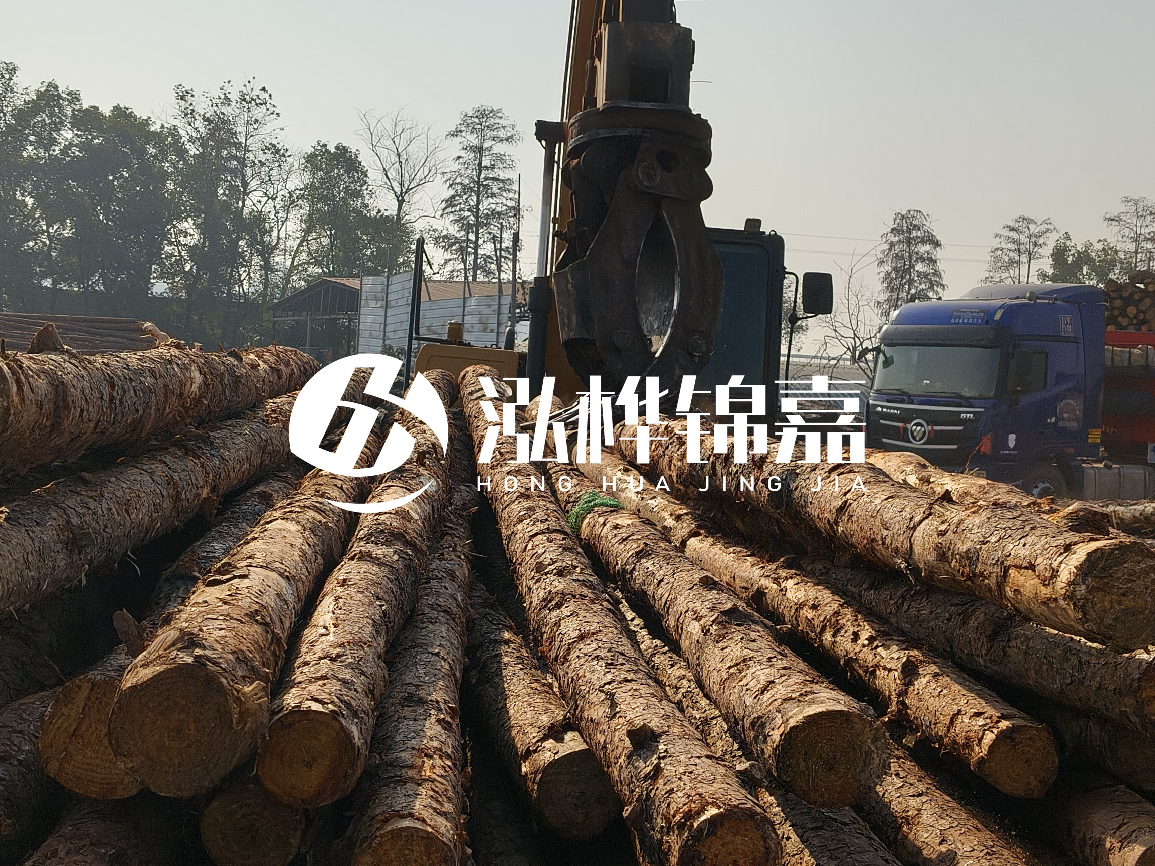 松木樁可以用來做什么？常用于哪些工程？