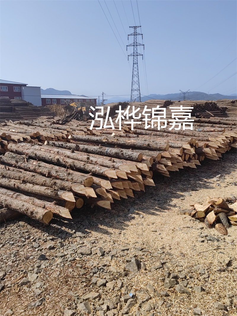 深入了解松木樁基礎(chǔ)施工單價(jià)，助力工程建設(shè)順利進(jìn)行！