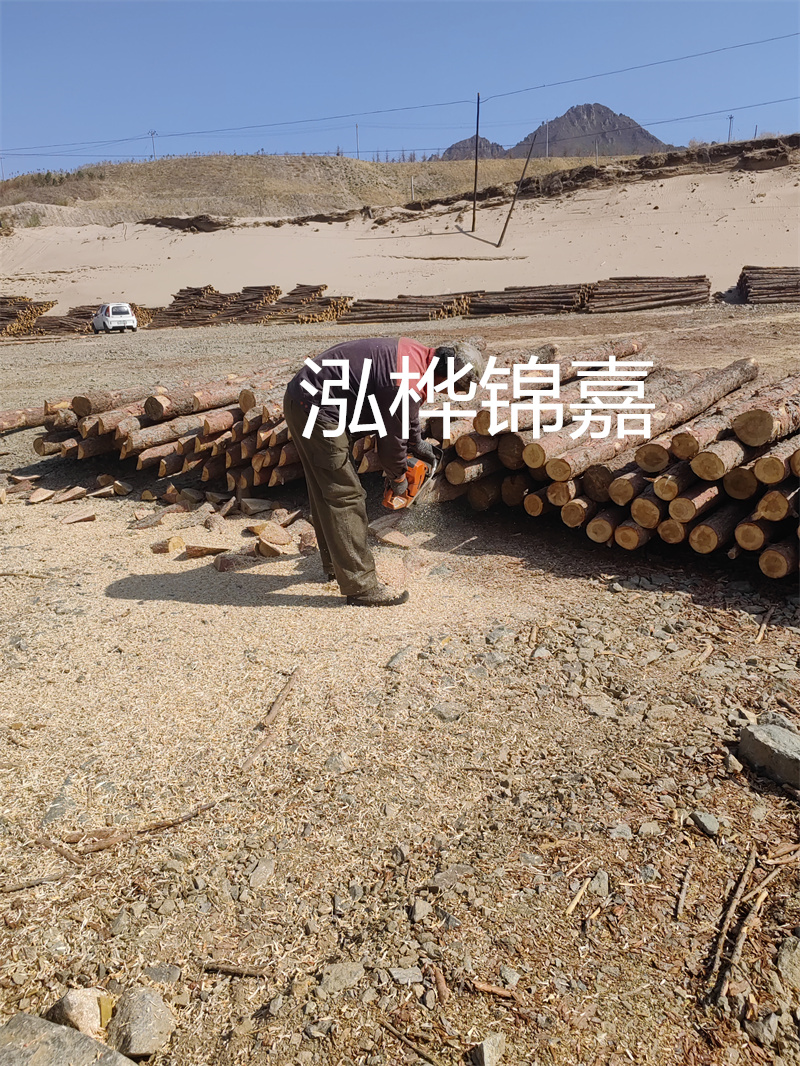 松木樁駁岸施工，打造水上風(fēng)景線