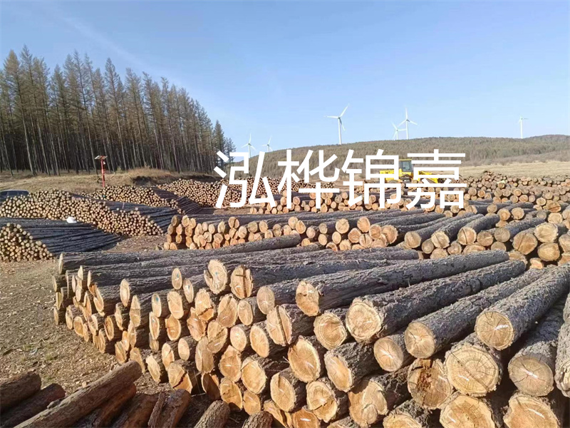 用路基松木樁施工方案提升工程質(zhì)量描述：了解路基松木樁施工方案的重要性，提高工程質(zhì)量關(guān)鍵詞：路基松木樁，施工方案，工程質(zhì)量